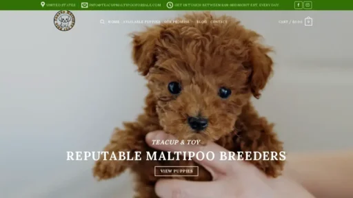 A screenshot of Teacupmaltipooforsale.com