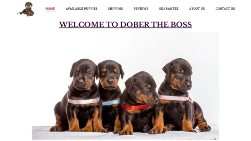 A screenshot of Thedoberboss.com