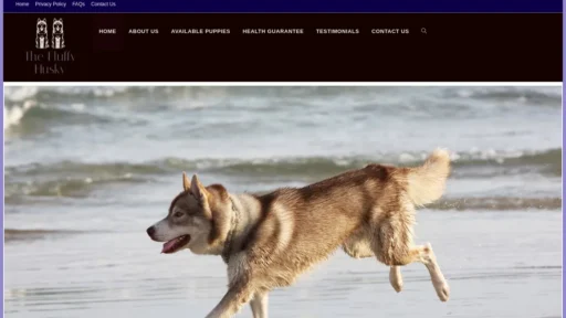 A screenshot of Thefluffybuddyhusky.com