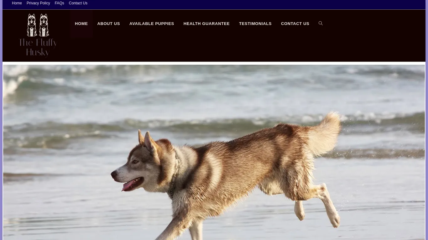 is Siberian Husky Puppies For Sale – Siberian Husky Puppies For Sale In Usa legit? screenshot