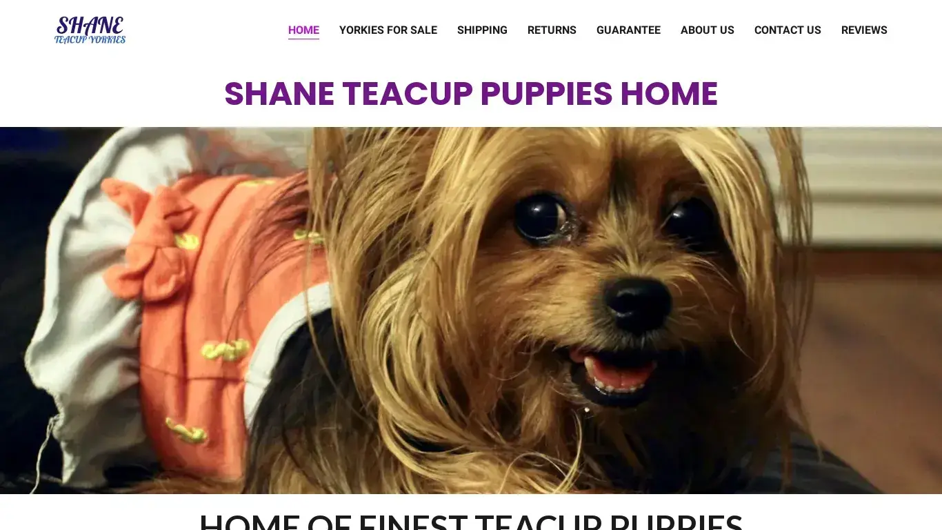 is HOME legit? screenshot
