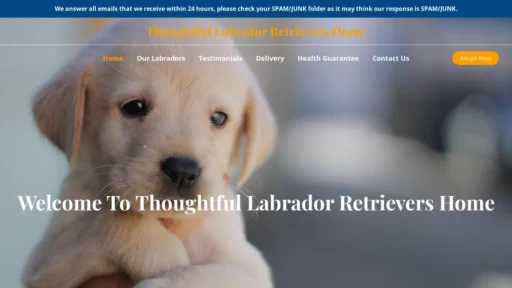 A screenshot of Thoughtfullabradorretrievershome.com