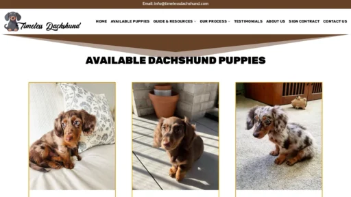 A screenshot of Timelessdachshund.com