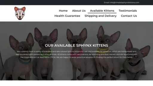 A screenshot of Timelessphynxkittens.com