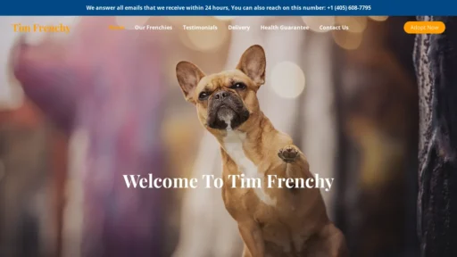 A screenshot of Timfrenchy.com