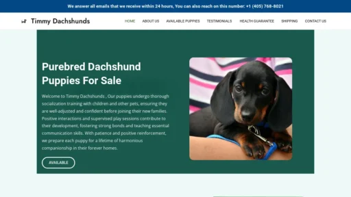 A screenshot of Timmydachshunds.com