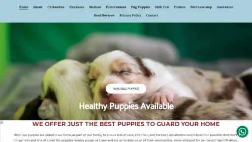 A screenshot of Tinahomes.co.za