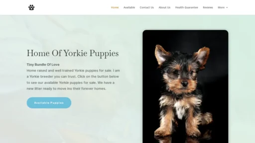A screenshot of Tinybundleoflove.com