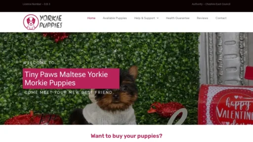A screenshot of Tinypawsmalteseyorkiemorkiepuppies.com