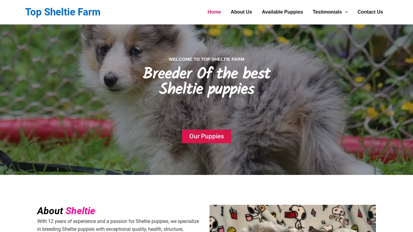 is Top Sheltie Farm – Sheltie Puppies For Sale legit? screenshot