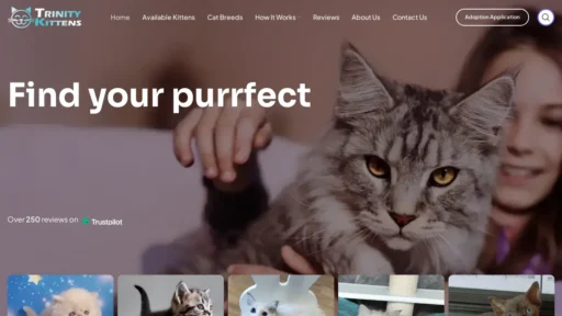 A screenshot of Trinitykittens.co.za