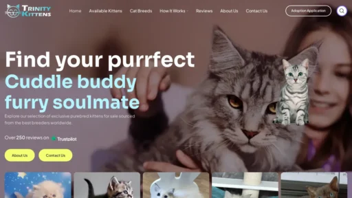 A screenshot of Trinitykittens.com