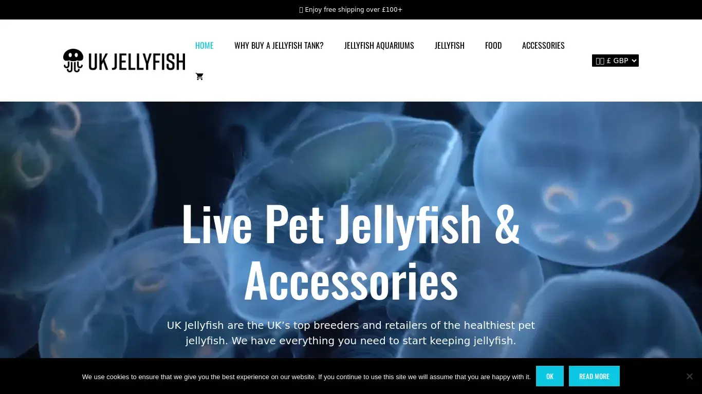 is ukjellyfish.co.uk legit? screenshot