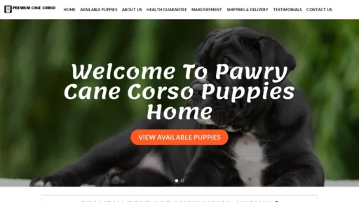 A screenshot of Uniquecorsos.com