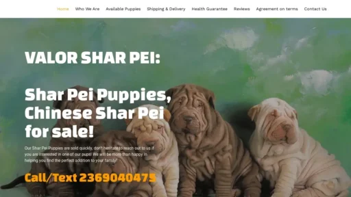 A screenshot of Valorsharpei.com