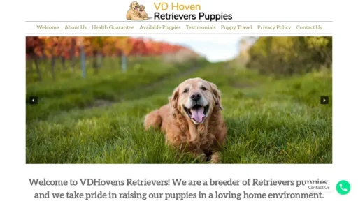 A screenshot of Vdhovenretrievers.com