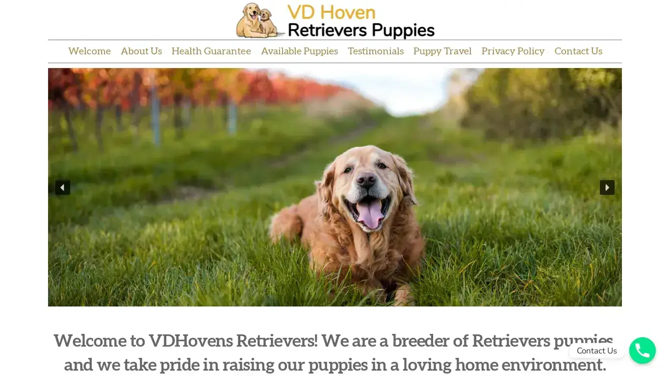 is VD Hoven Retrievers – Healthy Golden Retriever Puppies For Sale legit? screenshot