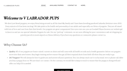 A screenshot of Vlabradorpups.com