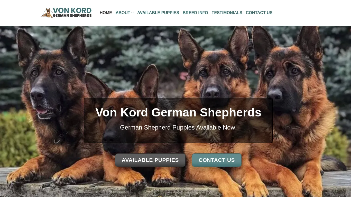 is Von Kord German Shepherds – German Shepherd puppies for sale legit? screenshot