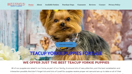 A screenshot of Westfieldyorkiegems.com