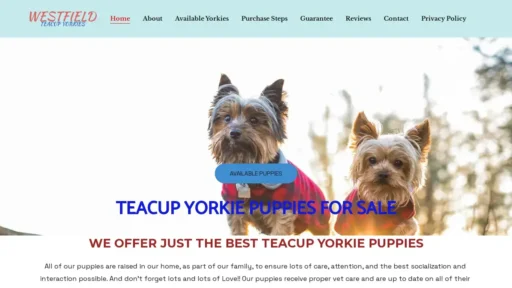A screenshot of Westfieldyorkieshome.com