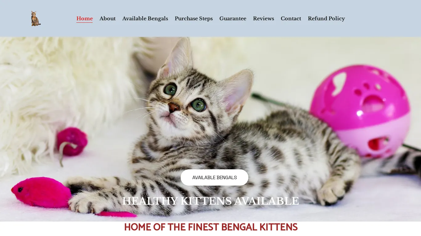 is Bengal Kittens for Sale and Adoption | Kittens Pleasures legit? screenshot