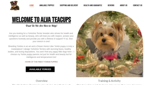 A screenshot of Yorkiechloe.com