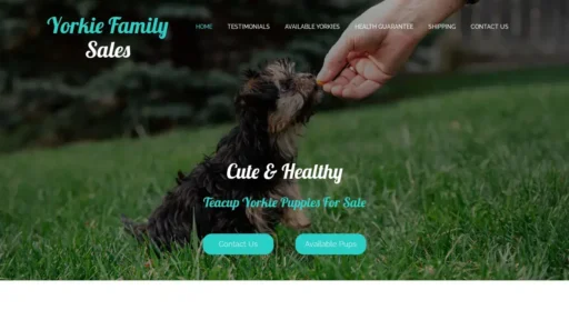 A screenshot of Yorkiefamilysales.com