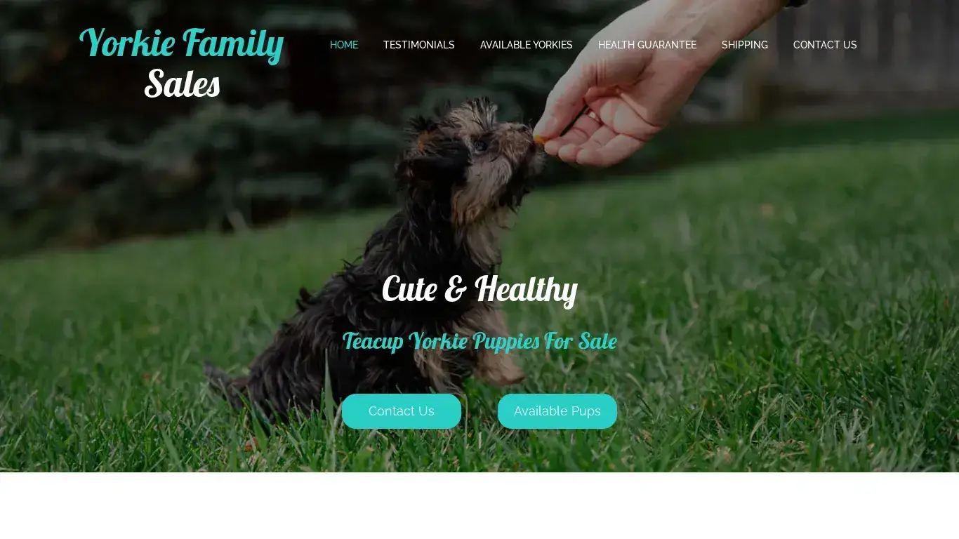 is Welcome - Yorkie Family Sales legit? screenshot