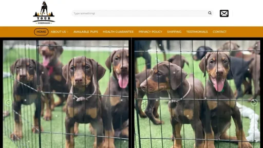 A screenshot of Yourdobermann.com