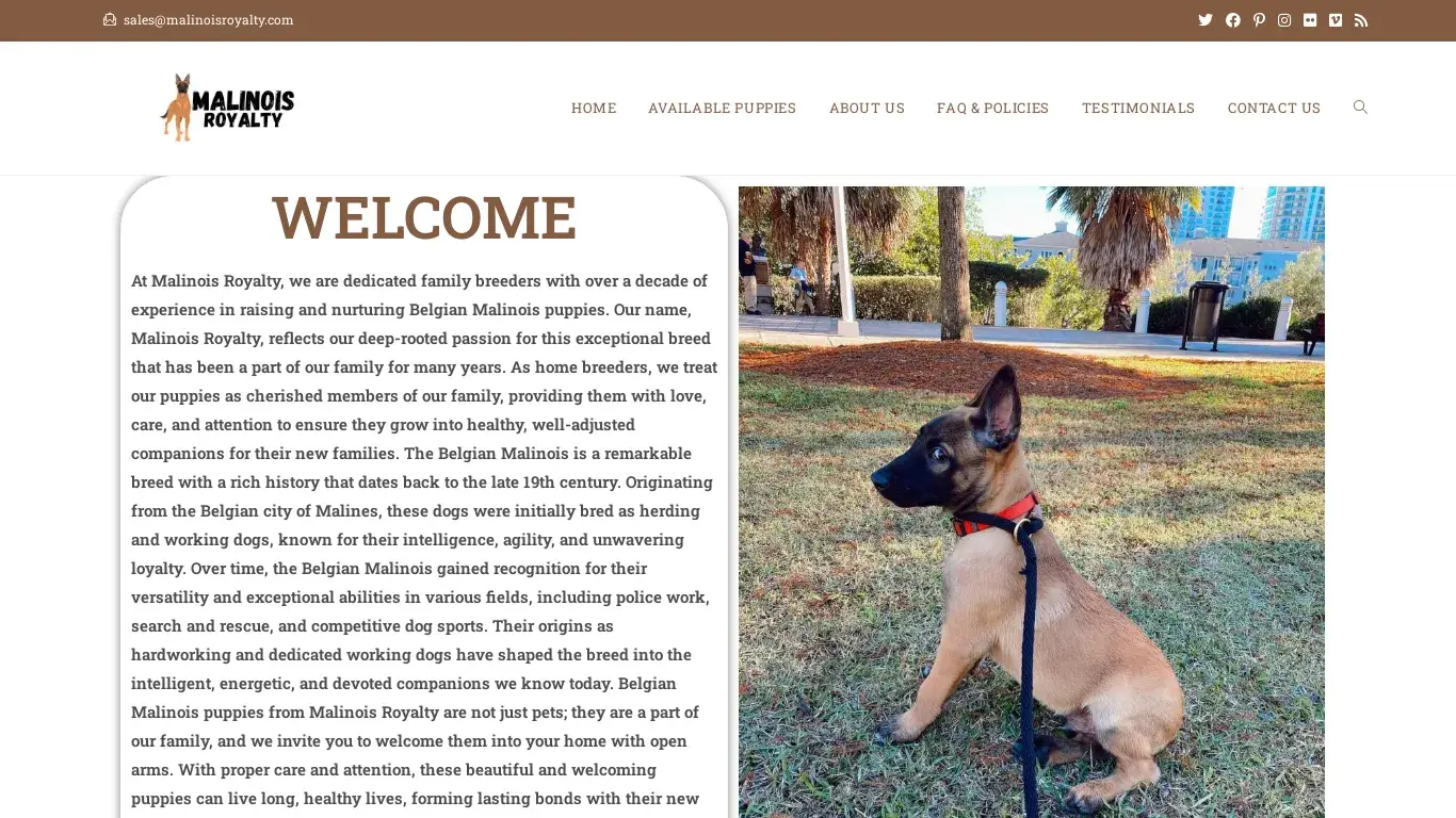 is Malinois Royalty – Licensed Malinois Breeders legit? screenshot