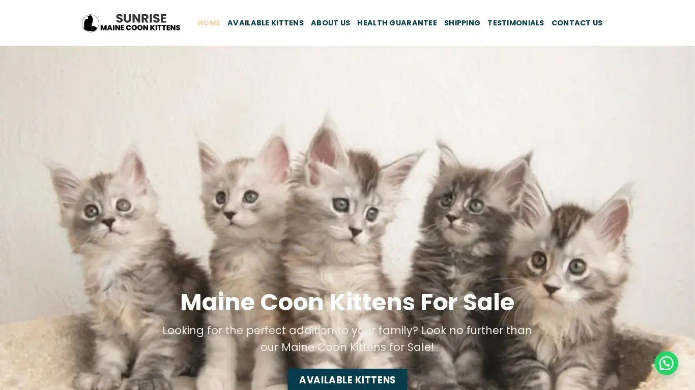 is Home | Sunrise Maine Coon Kittens legit? screenshot