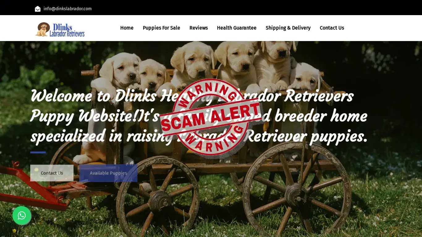 is Home | Dlinks Labrador legit? screenshot