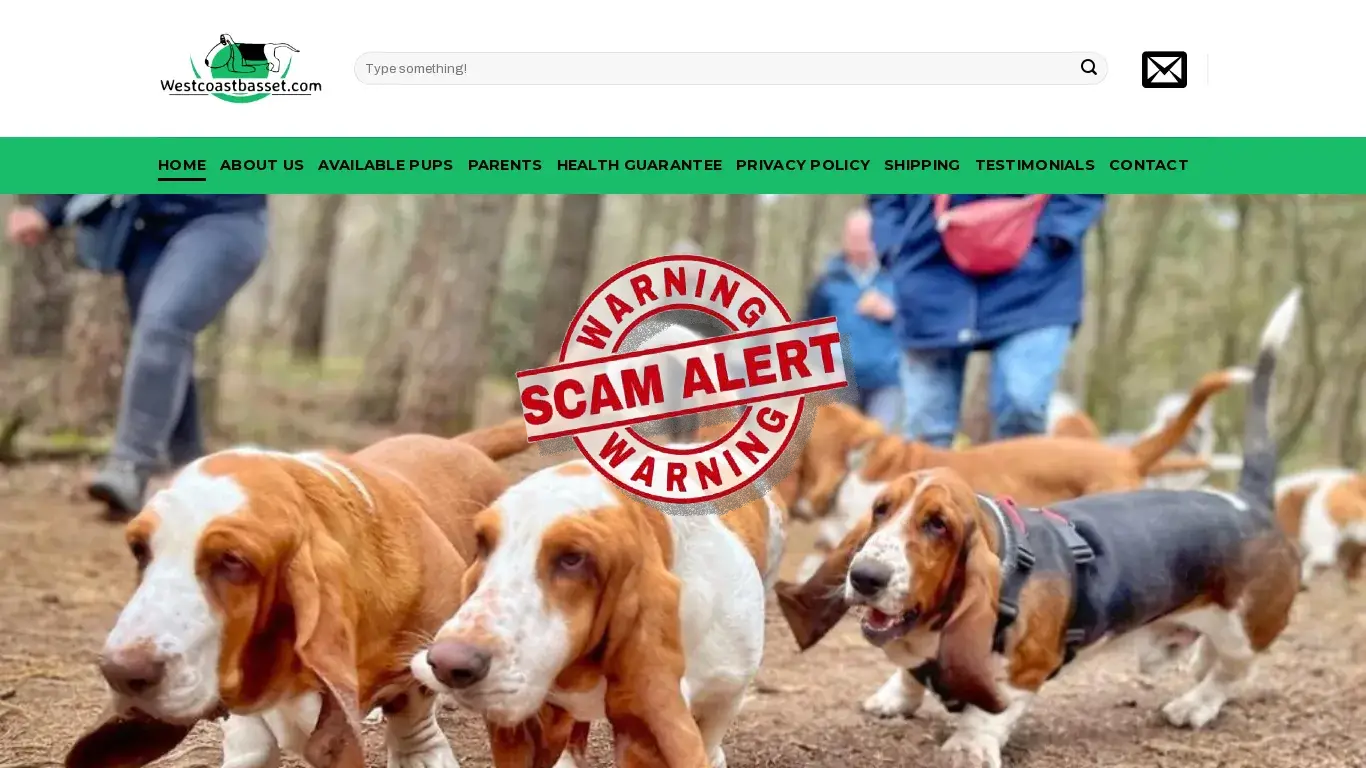 is Westcoast Bassets Puppy Home – Basset Hound |Basset Hound Puppies |Basset Hound Breeders |Bassets |Basset Hound for sale |Basset Hound Puppy for sale |Basset hound puppies for sale |Basset for sale |Basset hound dogs for sale |Basset hound puppy for sale near me |Basset hound puppies for sale near me |Basset hound dog for sale near me |Basset hound puppy for adoption |Basset hound puppies for adoption |Basset hound dog for adoption |Basset puppy for sale online |Basset hound puppies for sale online |Basset hound for sale online |Basset hound dog for sale online |Buy Basset hound puppy online |Buy basset hound puppies online |Buy basset hound dog online |Cheap basset hound puppies for sale |cheap basset hound for sale |cheap basset hound dog for sale | basset hound cost price |buy cheap basset hound puppy |Miniature basset hound puppies for sale |miniature basset hound puppies for sale near me |basset hound breeders near me |buying a basset hound |basset hound rescue |available basset hounds |basset hounds for sale |basset hounds for sale near me | cheap basset hounds for sale legit? screenshot