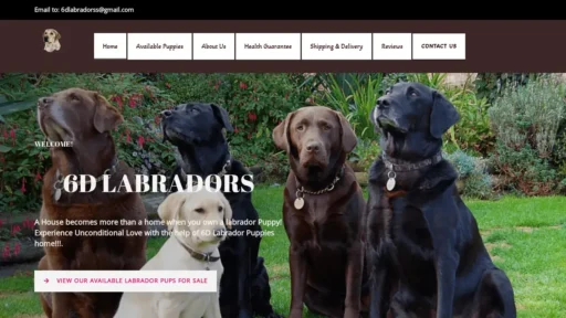 Scam Website Screenshot 6dlabradorss.com