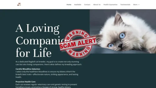Scam Website Screenshot Abbundantlovingkindness.com