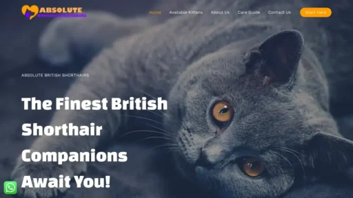 Scam Website Screenshot Absolutebritishshorthairs.com