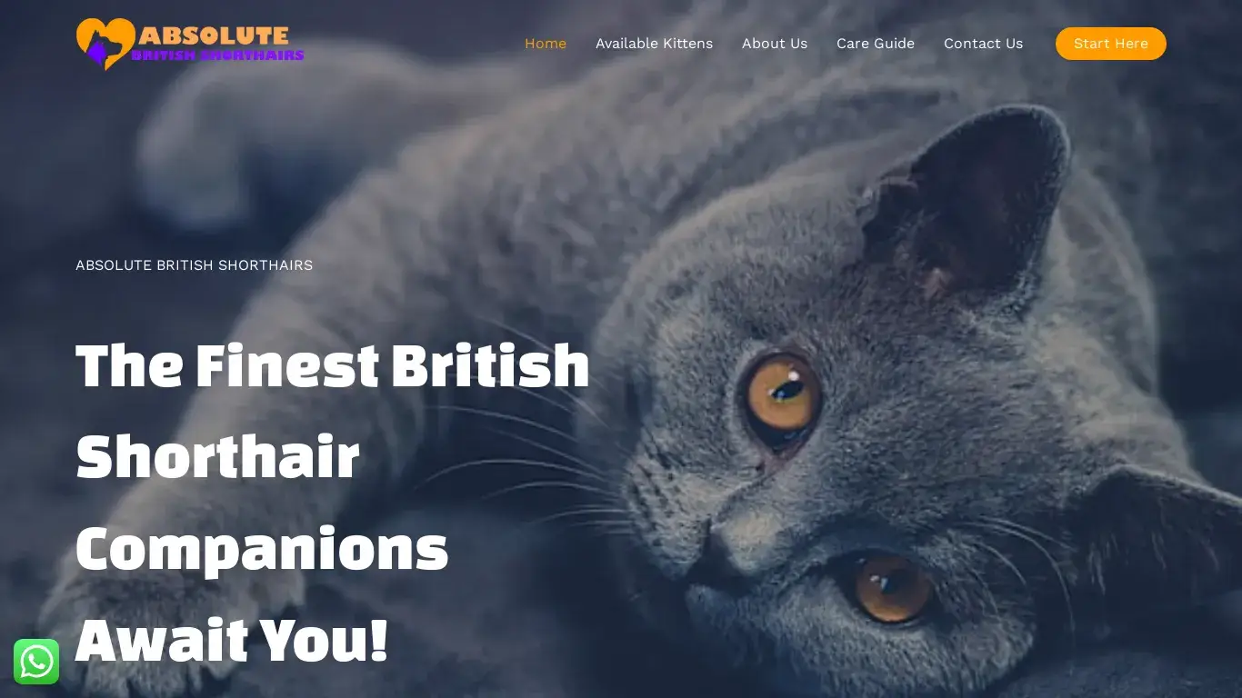is Absolute British Shorthairs – The Finest British Shorthair Companions Await You! legit? screenshot