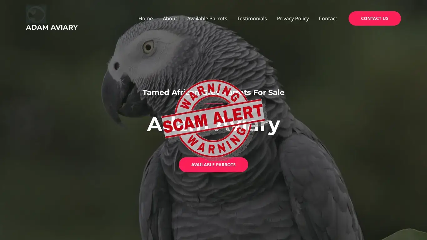 is ADAM AVIARY – ADAM AVIARY legit? screenshot