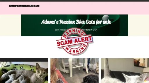 Scam Website Screenshot Adamsrussianblues.com
