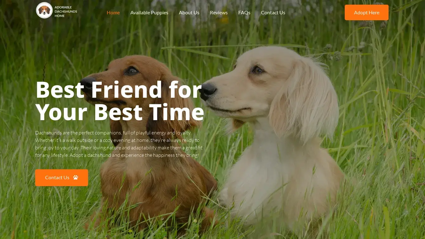 is Adorable Dachshunds Home legit? screenshot