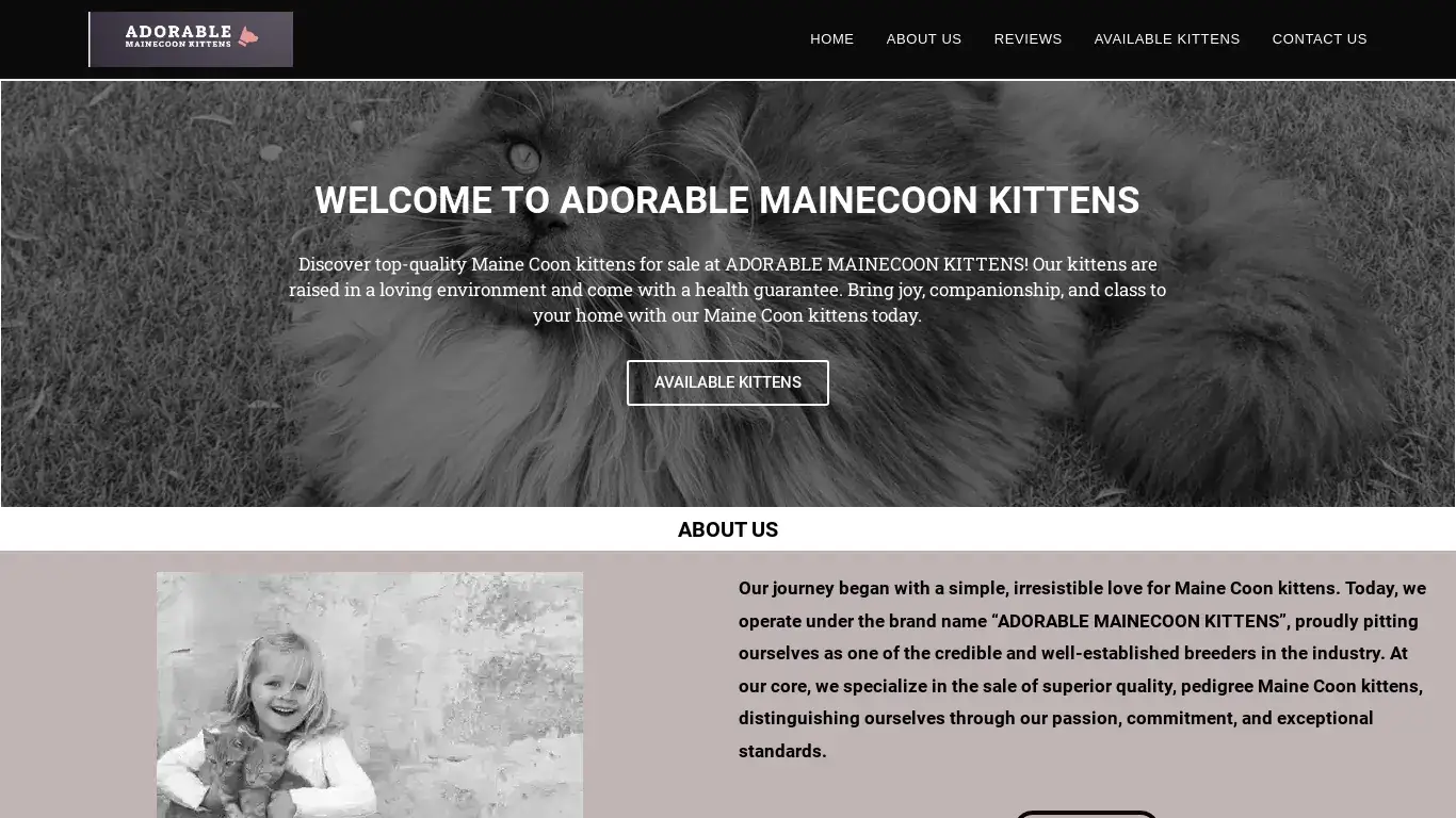 is ADORABLE MAINECOON KITTENS – Premium Maine Coon Kittens for Sale legit? screenshot