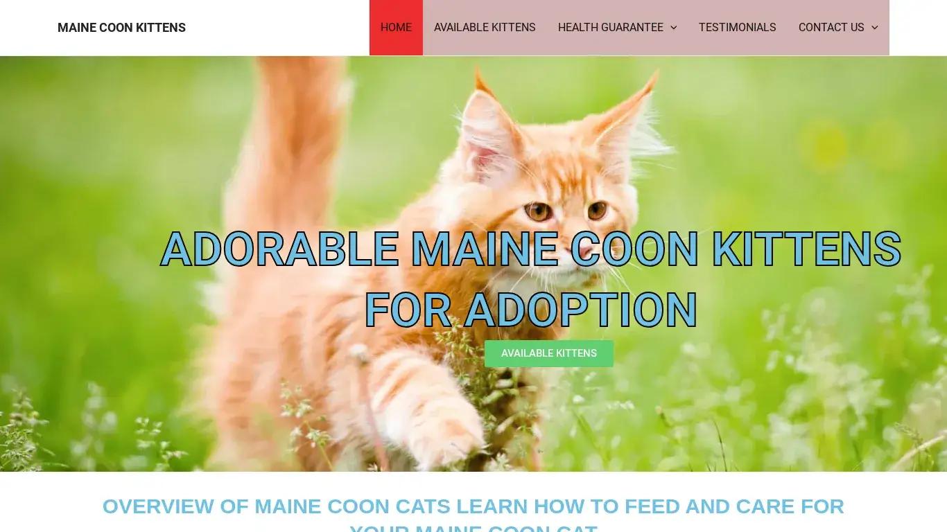 is MAINE COON KITTENS legit? screenshot