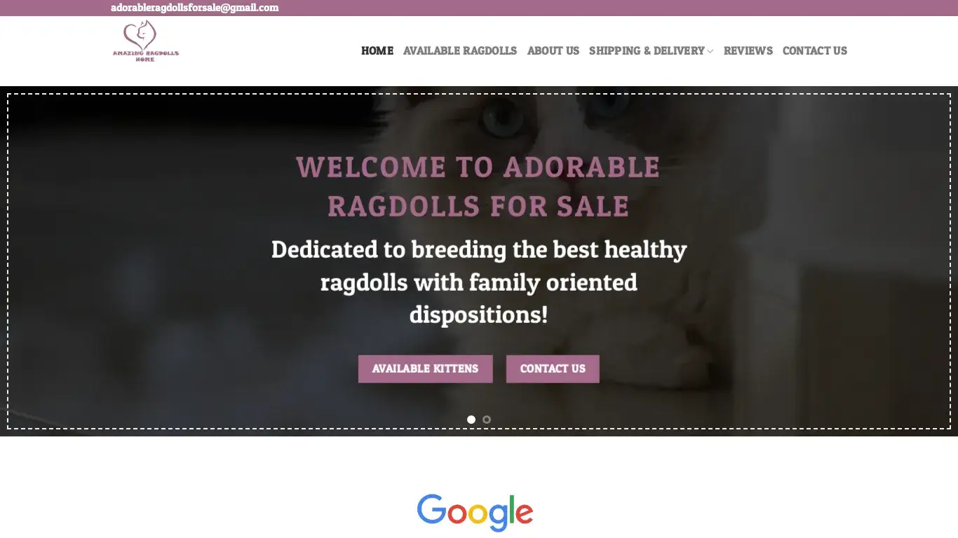 is Adorable Ragdolls For Sale – Buy ragdoll kittens Online! legit? screenshot