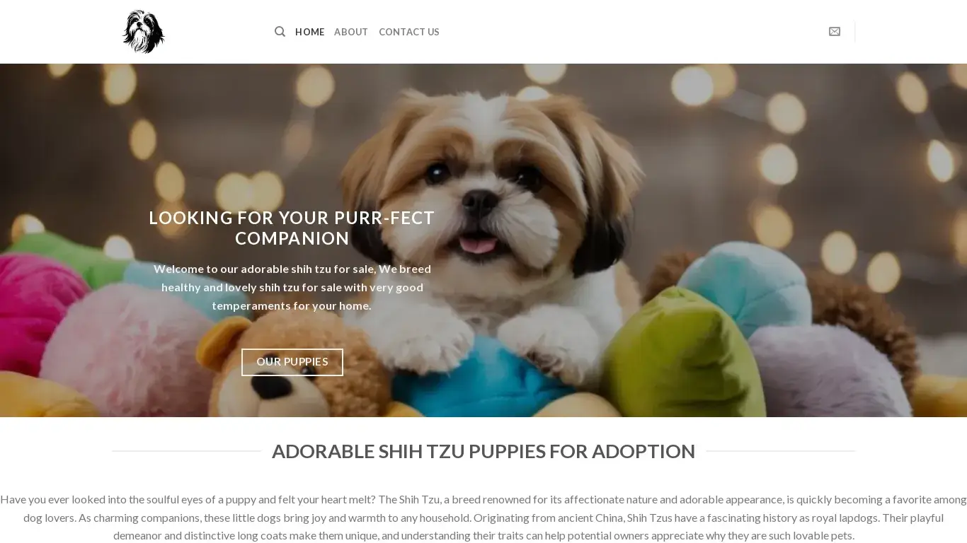 is adorableshihtzuforsale.com – Shih tzu puppy’s for sale legit? screenshot