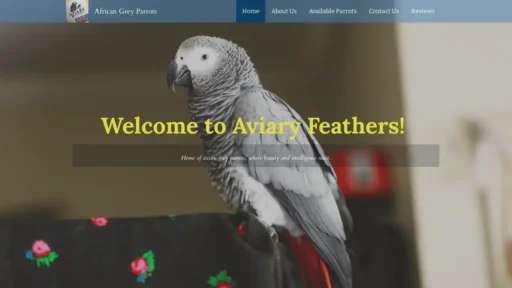 Scam Website Screenshot Africagreyparrot.us