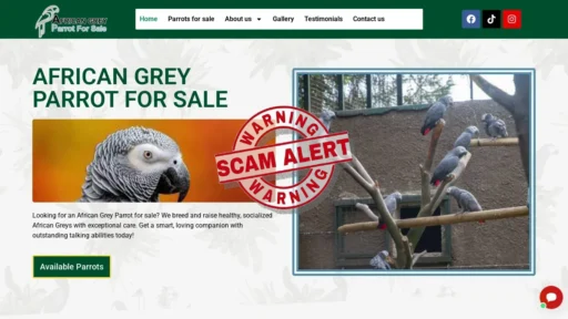 Scam Website Screenshot Africangrey-parrotforsale.com