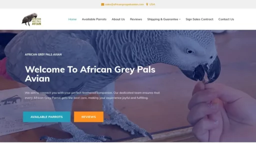 Scam Website Screenshot Africangreypalsavian.com