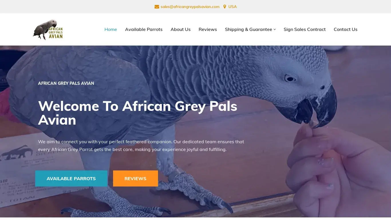 is African Grey Pals Avian – African Grey Parrot For Sale legit? screenshot