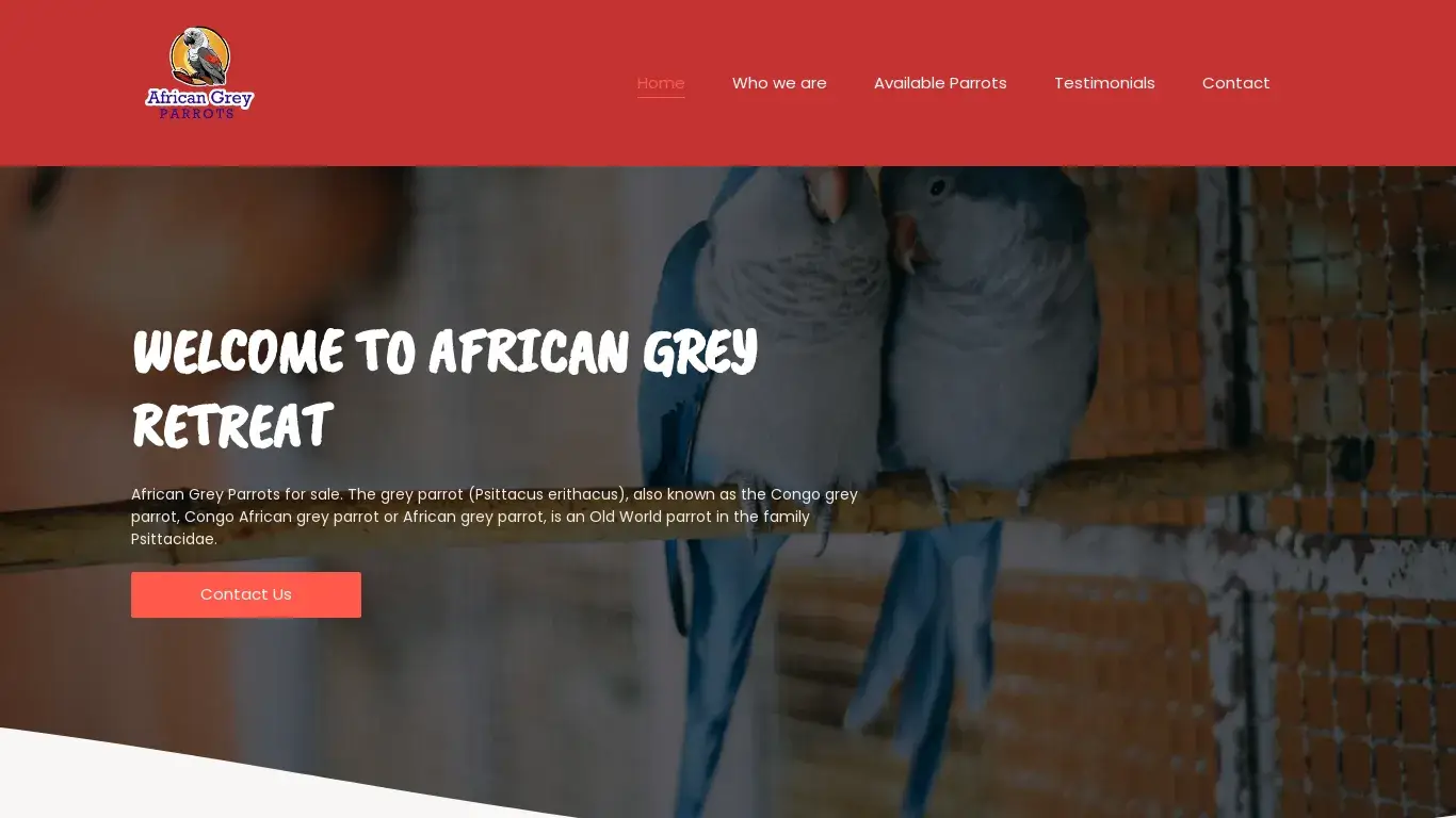 is African Greys Retreat – Passion, Love and Professionalism legit? screenshot